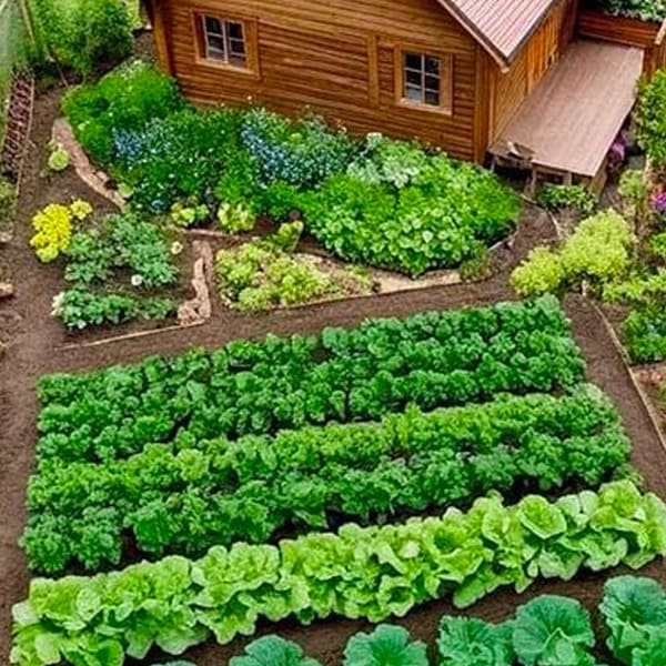 zahradní domek + zahrádka